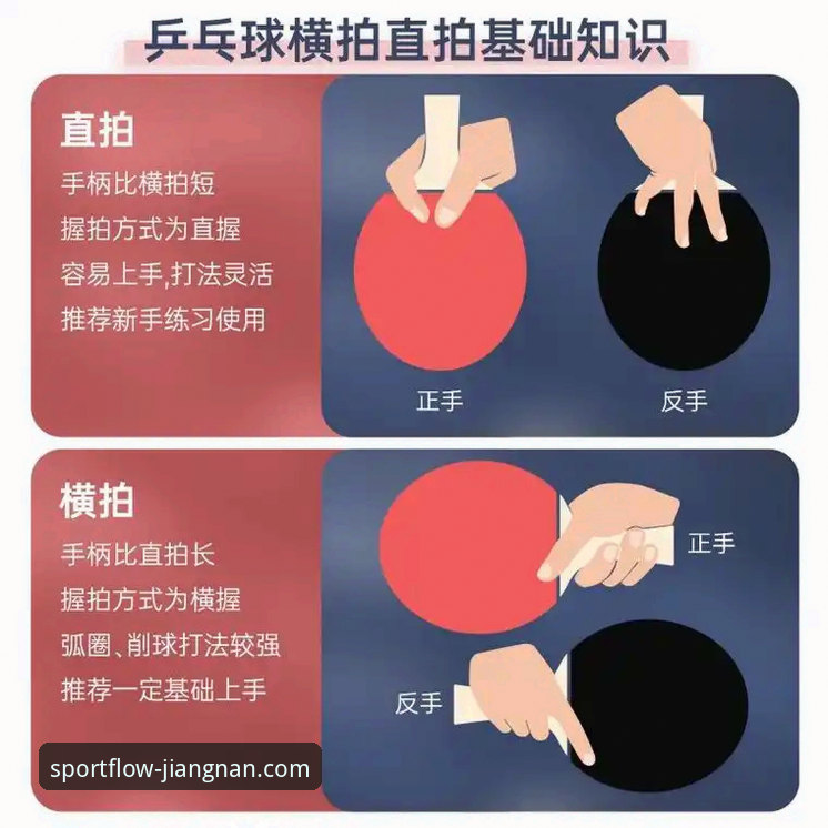 如何精准获取江南体育赛事信息？从入门到精通的完整指南